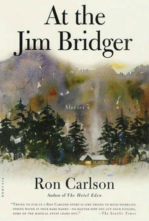 Cover of the book At the Jim Bridger by John Griesemer