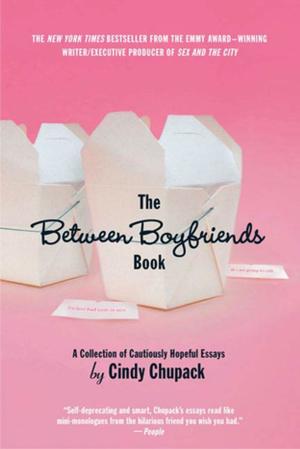 Cover of the book The Between Boyfriends Book by Eddie Kurtz