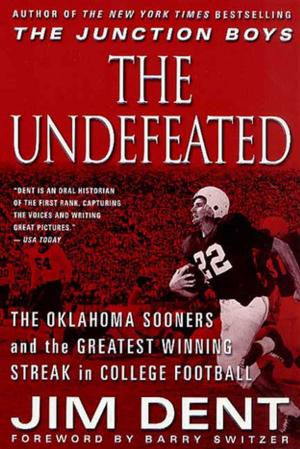 Cover of the book The Undefeated by Seamus O'Mahony