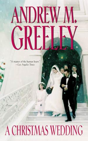 Cover of the book A Christmas Wedding by L. E. Modesitt Jr.
