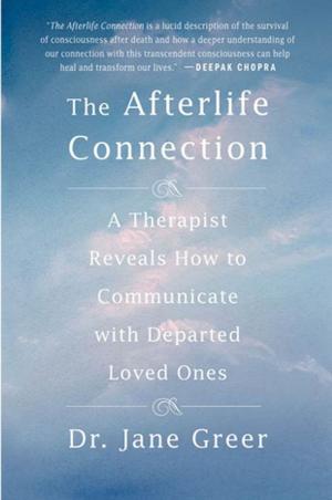 Cover of the book The Afterlife Connection by Ronald Ritter, Sussan Evermore