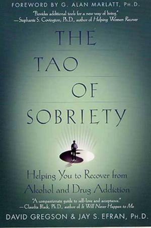 Cover of the book The Tao of Sobriety by Barrie Wilson, Ph.D.
