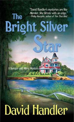 Cover of the book The Bright Silver Star by Geoff Ryman