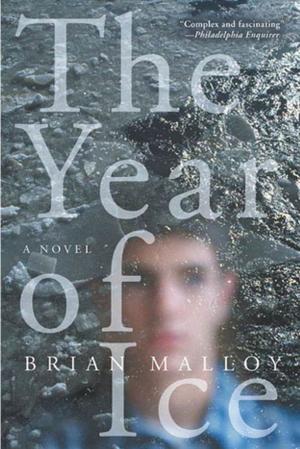 bigCover of the book The Year of Ice by 