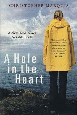 Cover of the book A Hole in the Heart by Allison Brennan