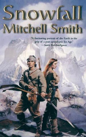 Cover of the book Snowfall by David Walton