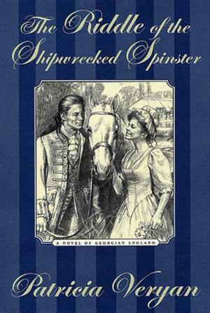 Cover of the book The Riddle of the Shipwrecked Spinster by Elizabeth J. Duncan