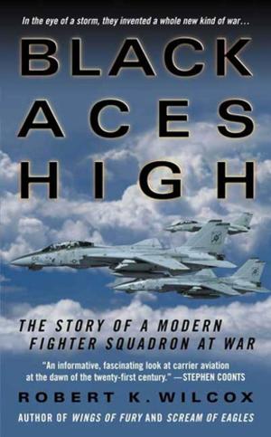 Cover of the book Black Aces High by Stephen D. Solomon