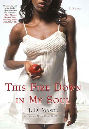 Cover of the book This Fire Down in My Soul by Susan Spence