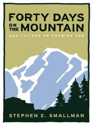 Cover of the book Forty Days On The Mountain Meditations On Knowing God by Mark Dever
