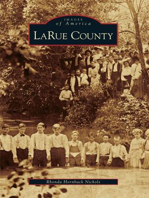 Cover of the book LaRue County by Dan Guillory