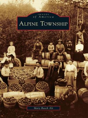 Cover of the book Alpine Township by Cornelia Becker Seigneur