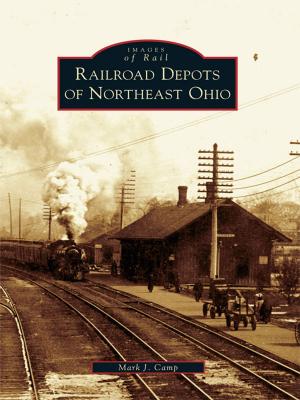 Cover of the book Railroad Depots of Northeast Ohio by Robert J. Murphy, Denise Doring VanBuren