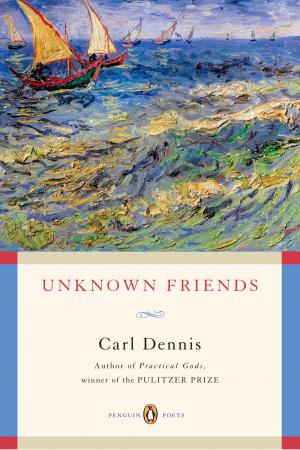 Cover of the book Unknown Friends by Thomas Timmins