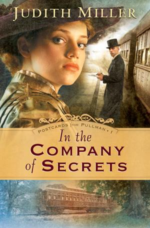 Cover of the book In the Company of Secrets (Postcards from Pullman Book #1) by Irene Hannon