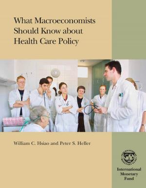 Cover of the book What Macroeconomists Should Know about Health Care Policy by Klaus-Walter Mr. Riechel