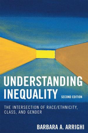 Book cover of Understanding Inequality