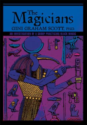 Cover of the book The Magicians by Musaba D. Chailunga