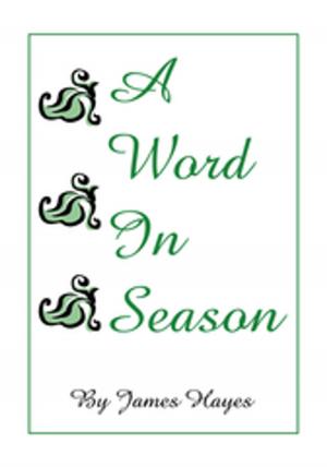 Cover of the book A Word in Season by J.R. Stovall