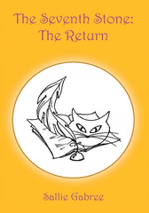 Cover of the book The Seventh Stone: the Return by James Thomae
