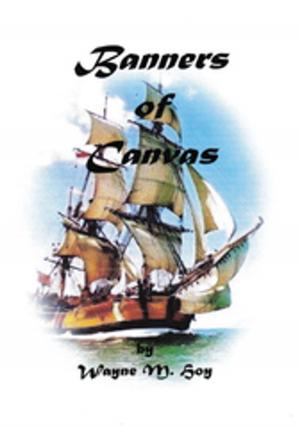 Cover of the book Banners of Canvas by Virginia Douglas