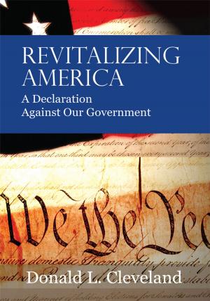 Cover of the book Revitalizing America by Lisa G Renwick