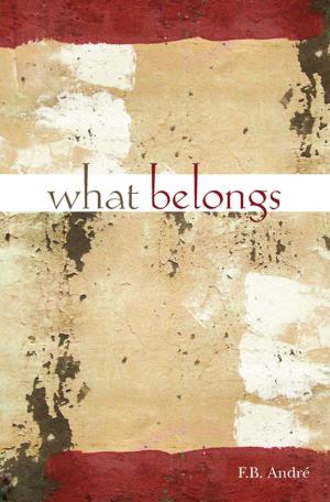 Cover of the book What Belongs by Pamela Porter