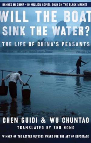 Cover of the book Will the Boat Sink the Water? by Stephen Kurkjian