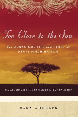 Cover of the book Too Close to the Sun by Ashlyn Macnamara