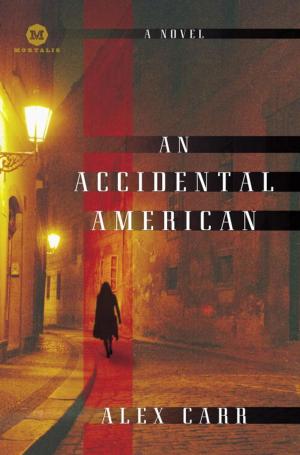 Cover of the book An Accidental American by Salman Rushdie