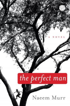 Cover of the book The Perfect Man by Ann O'Farrell