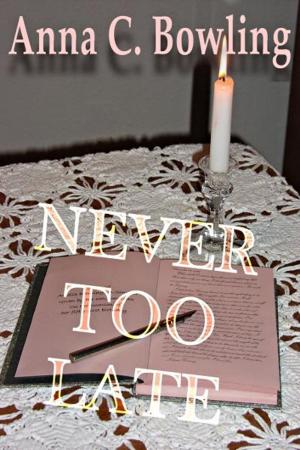Cover of the book Never Too Late by Susanne Marie Knight