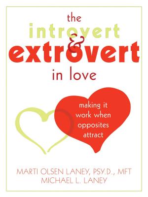 Book cover of The Introvert and Extrovert in Love