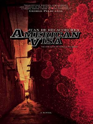 Cover of the book American Visa by Cheryl Lu-Lien Tan