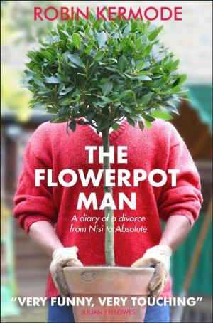 bigCover of the book THE FLOWERPOT MAN by 