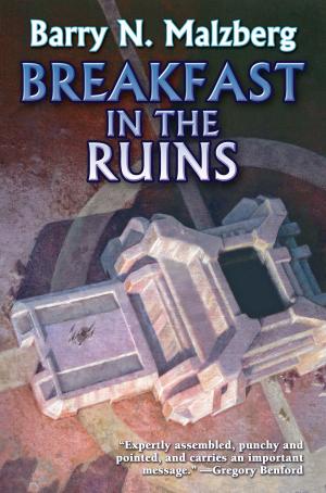 Book cover of Breakfast in the Ruins