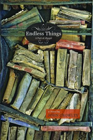 Cover of the book Endless Things by Delia Sherman