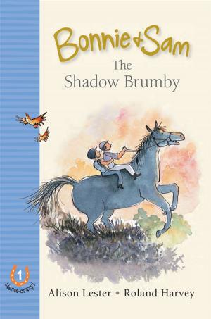 Cover of the book Bonnie and Sam 1: The Shadow Brumby by Kim Wilson, Andrew Plant