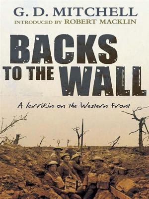 Cover of the book Backs to the Wall by David Galler