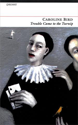 Cover of the book Trouble Came to the Turnip by Peter Davidson