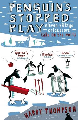 Cover of the book Penguins Stopped Play by Geoff Stokes