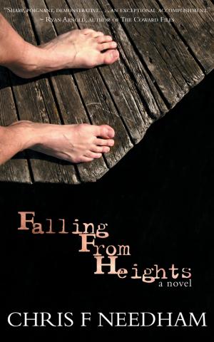 Cover of the book Falling from Heights by Chris Gilmore