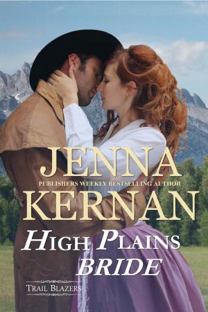 bigCover of the book High Plains Bride by 