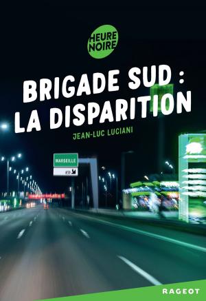 Cover of the book Brigade sud : la disparition by Sophie Rigal-Goulard