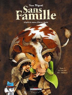 Cover of the book Sans famille T05 by Pénélope Bagieu