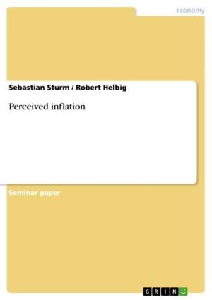 Cover of the book Perceived inflation by Eva Tüttelmann