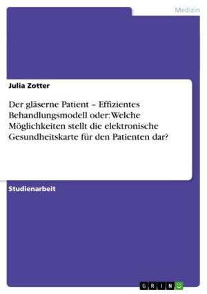 Cover of the book Der gläserne Patient - Effizientes Behandlungsmodell oder: Welche Möglichkeiten stellt die elektronische Gesundheitskarte für den Patienten dar? by Florian Meier