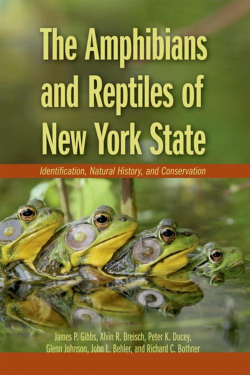 Cover of the book The Amphibians and Reptiles of New York State by James P. Gibbs, Alvin R. Breisch, Peter K. Ducey, Glenn Johnson, Richard Bothner, the late John Behler, Oxford University Press