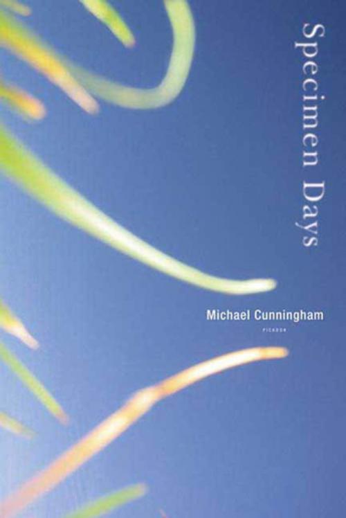 Cover of the book Specimen Days by Michael Cunningham, Farrar, Straus and Giroux