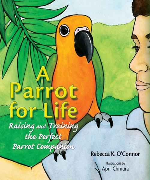 Cover of the book A Parrot for Life by Rebecca K. O'Connor, TFH Publications, Inc.